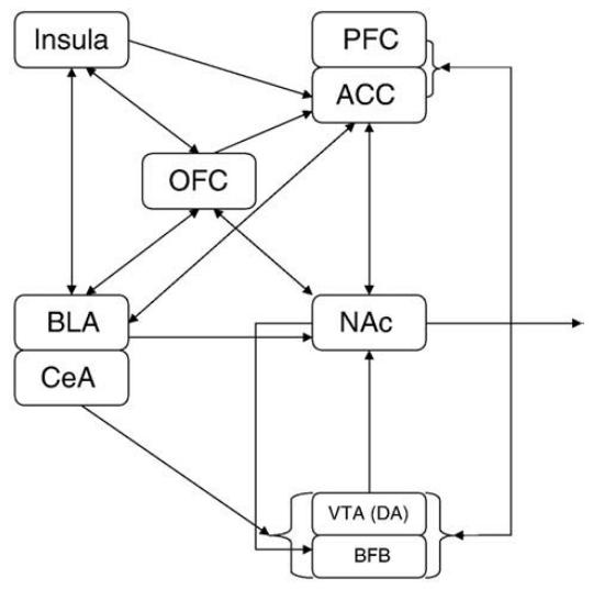 e5f29068-1f68-11f0-9434-92fbcf53809c.png