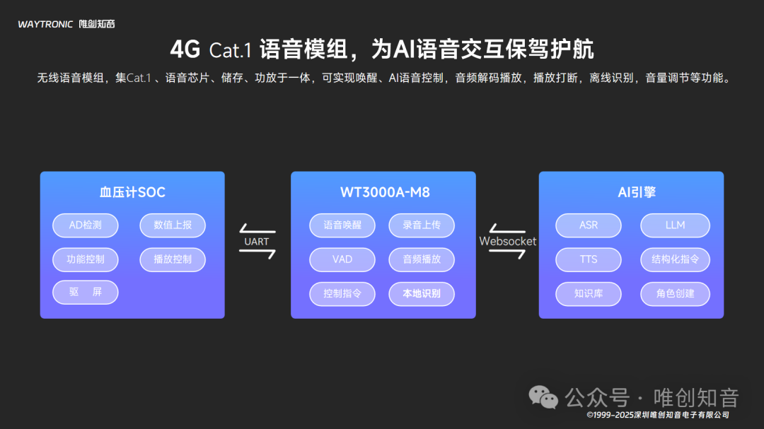 3d120d88-1ff5-11f0-9434-92fbcf53809c.png