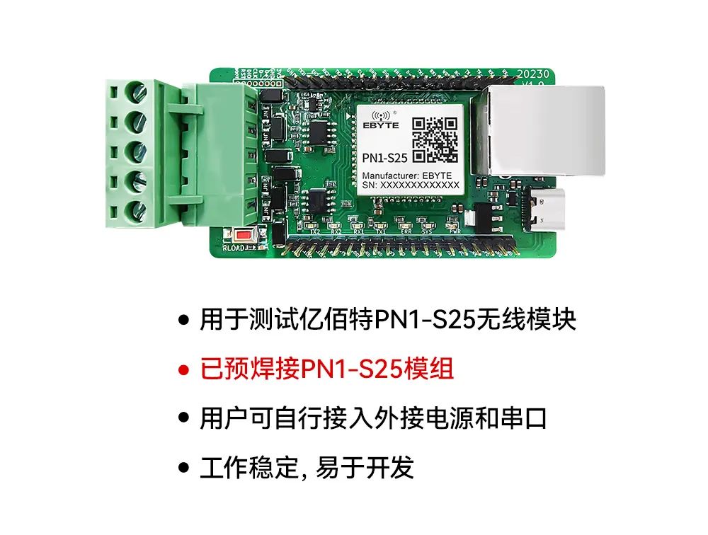 d93e5b52-20ff-11f0-9434-92fbcf53809c.jpg
