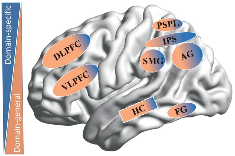 47fa8674-25ab-11f0-9434-92fbcf53809c.png