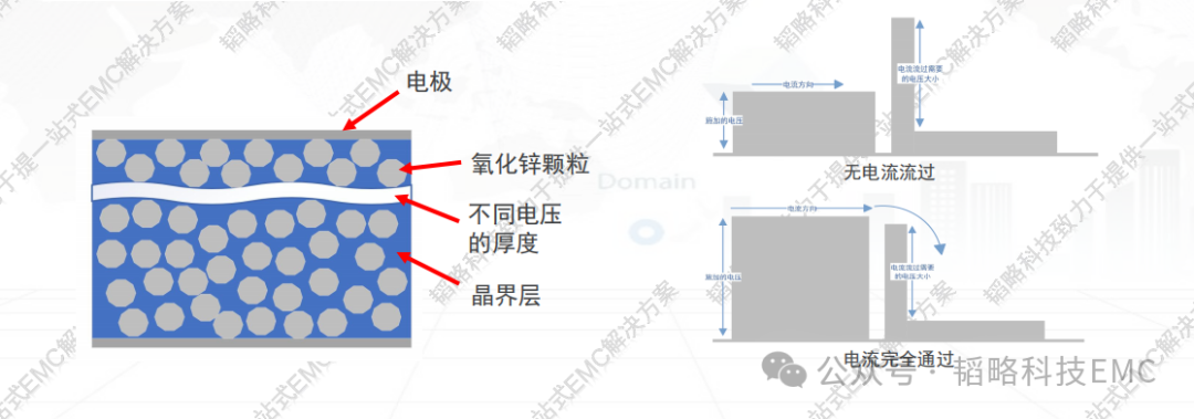 04c76af0-2a2b-11f0-9434-92fbcf53809c.png