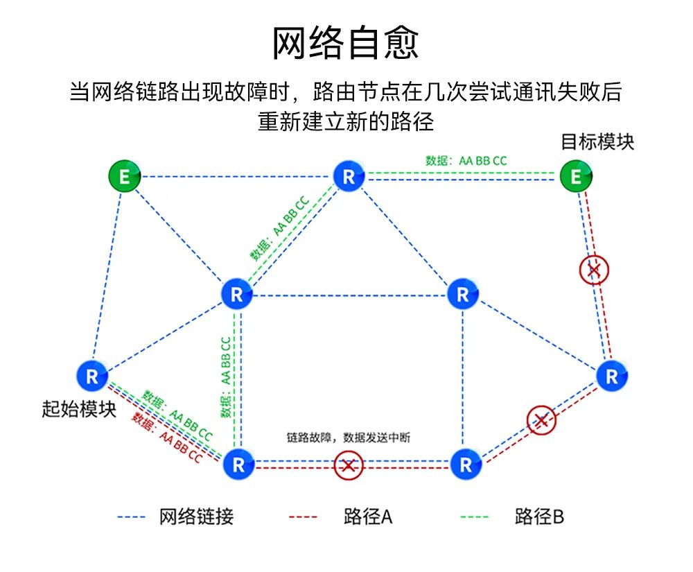 4140dfbc-2c00-11f0-9434-92fbcf53809c.jpg