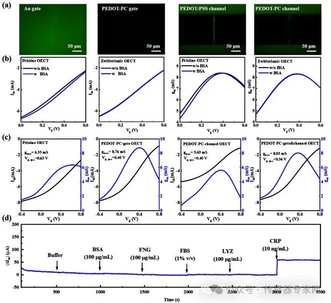 上海大學：可于復雜生物環境中實時監測生物標志物的即用型OECT生物傳感器