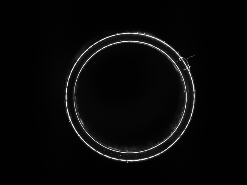 f8a8c0d8-3a89-11f0-986f-92fbcf53809c.png