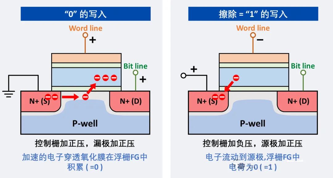 edd51a88-3ab8-11f0-986f-92fbcf53809c.jpg