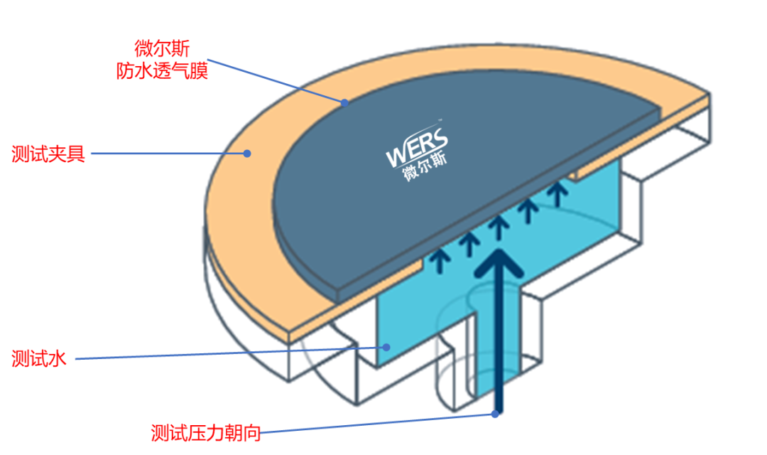 fe468874-4027-11f0-986f-92fbcf53809c.png