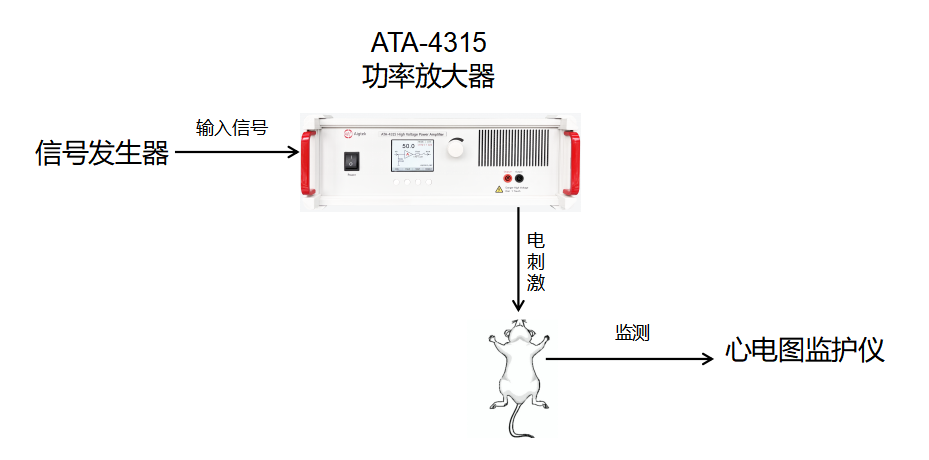 高壓<b class='flag-5'>功率放大器</b>在生物和<b class='flag-5'>超聲</b>領(lǐng)域中的作用和<b class='flag-5'>實驗</b>