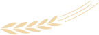 597b1430-41f4-11f0-986f-92fbcf53809c.png