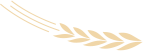 5965cf1c-41f4-11f0-986f-92fbcf53809c.png