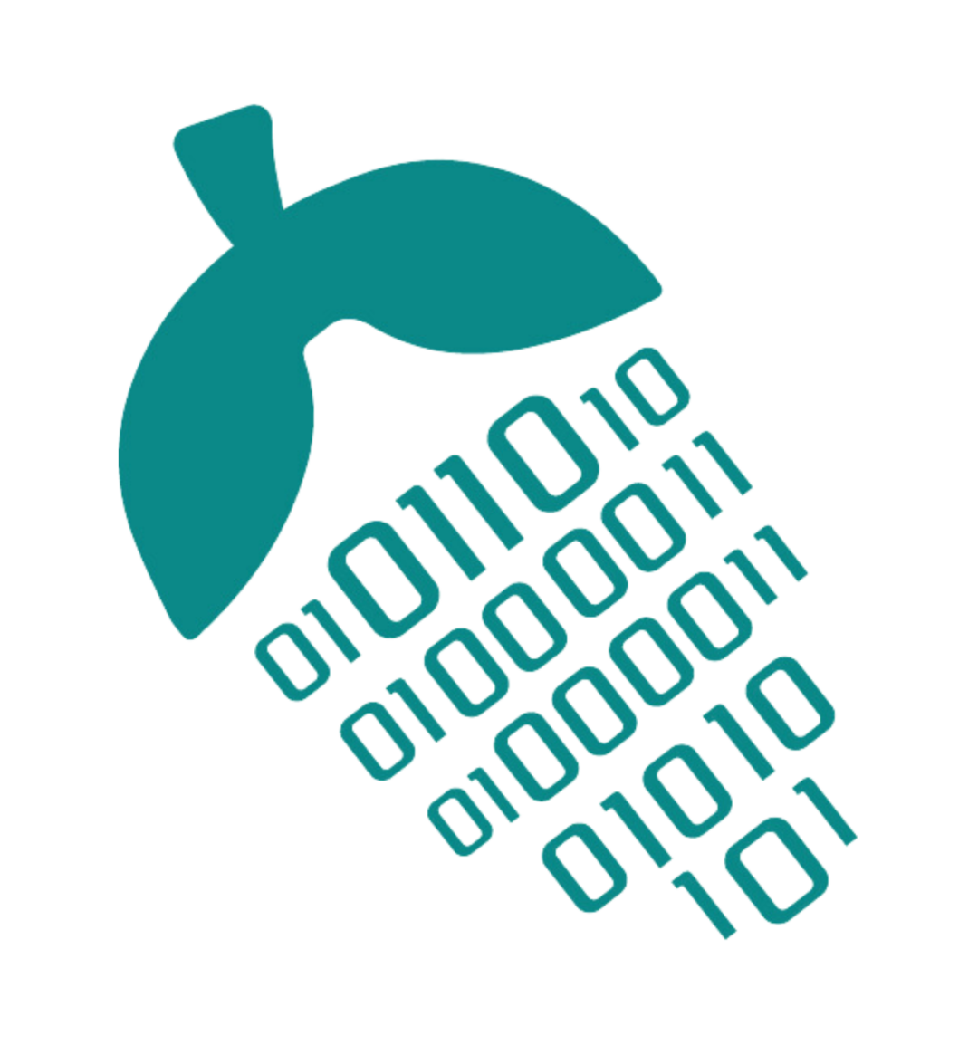4667f0c2-42ab-11f0-986f-92fbcf53809c.png