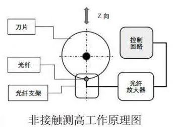56b6ec46-46a5-11f0-986f-92fbcf53809c.jpg