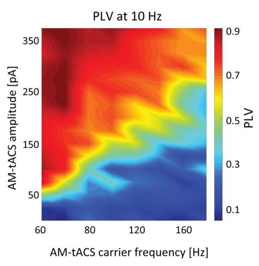 aa1138cc-4c2e-11f0-986f-92fbcf53809c.png