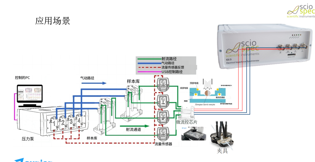 a600c8ba-56f1-11f0-9cf1-92fbcf53809c.png