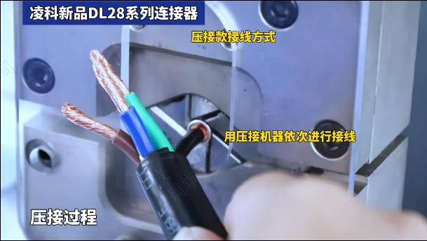 b793ecd4-58bc-11f0-9cf1-92fbcf53809c.png