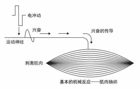 d81d953a-598f-11f0-9cf1-92fbcf53809c.png