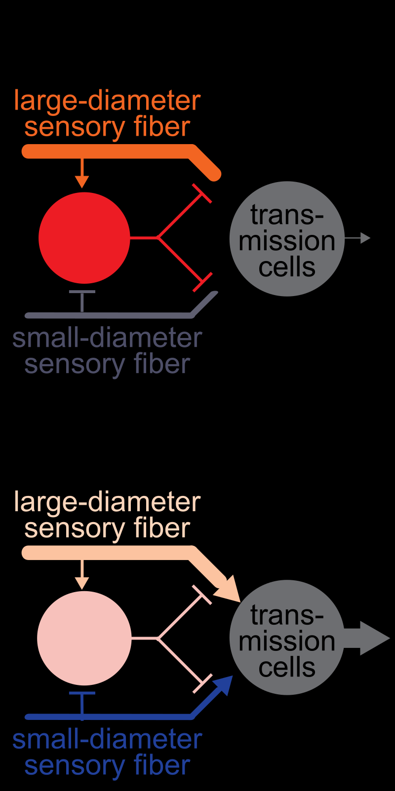 06575a6e-5e61-11f0-9cf1-92fbcf53809c.png