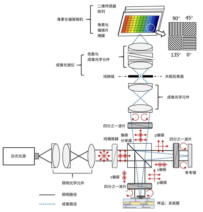 e20aa2fc-661b-11f0-a486-92fbcf53809c.jpg