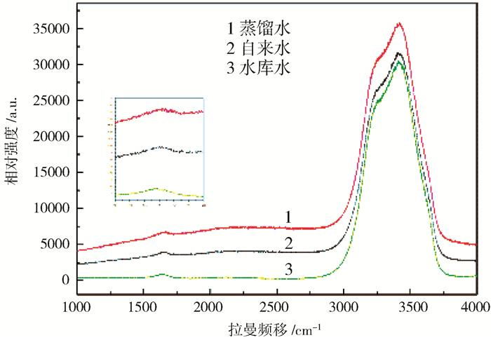 ef78298a-6771-11f0-a486-92fbcf53809c.png