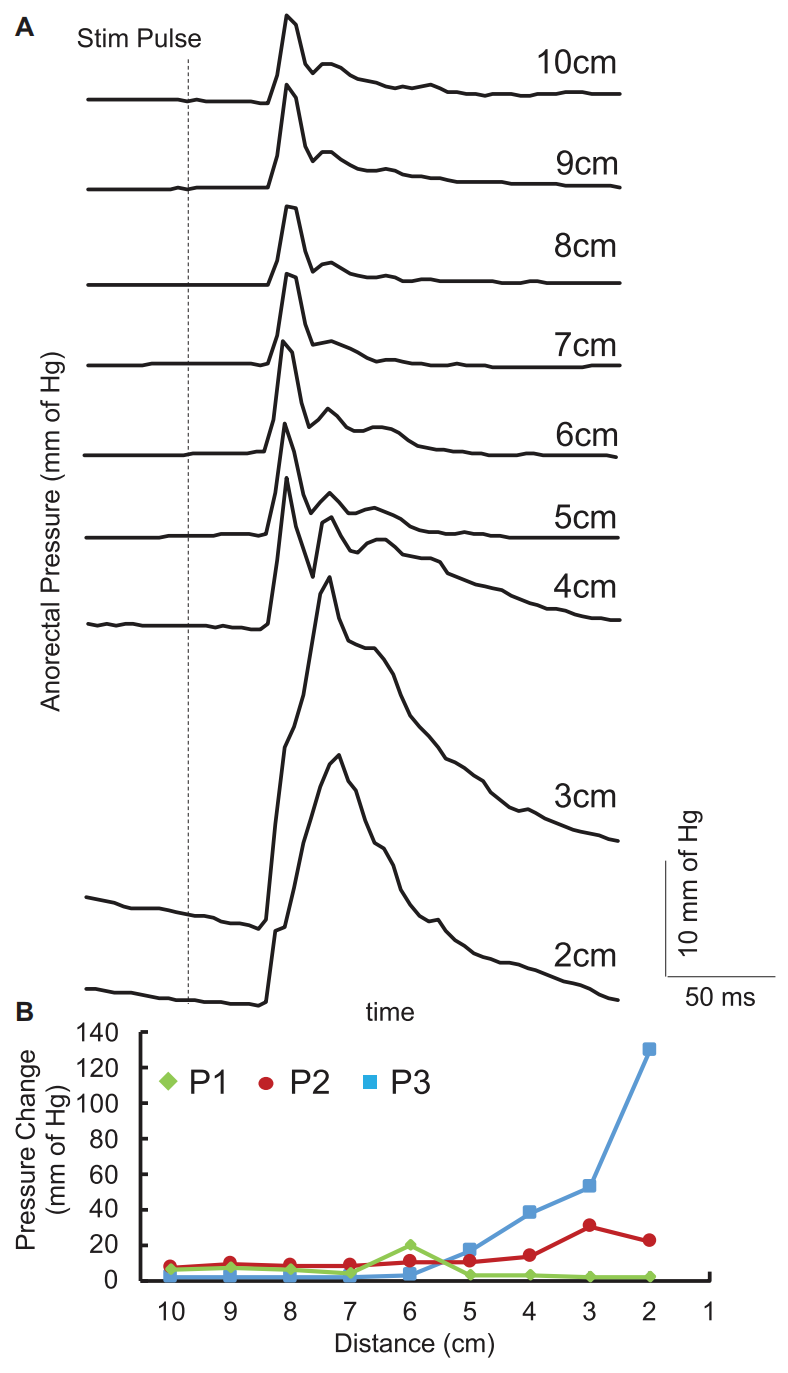 da2e2348-67be-11f0-a486-92fbcf53809c.png