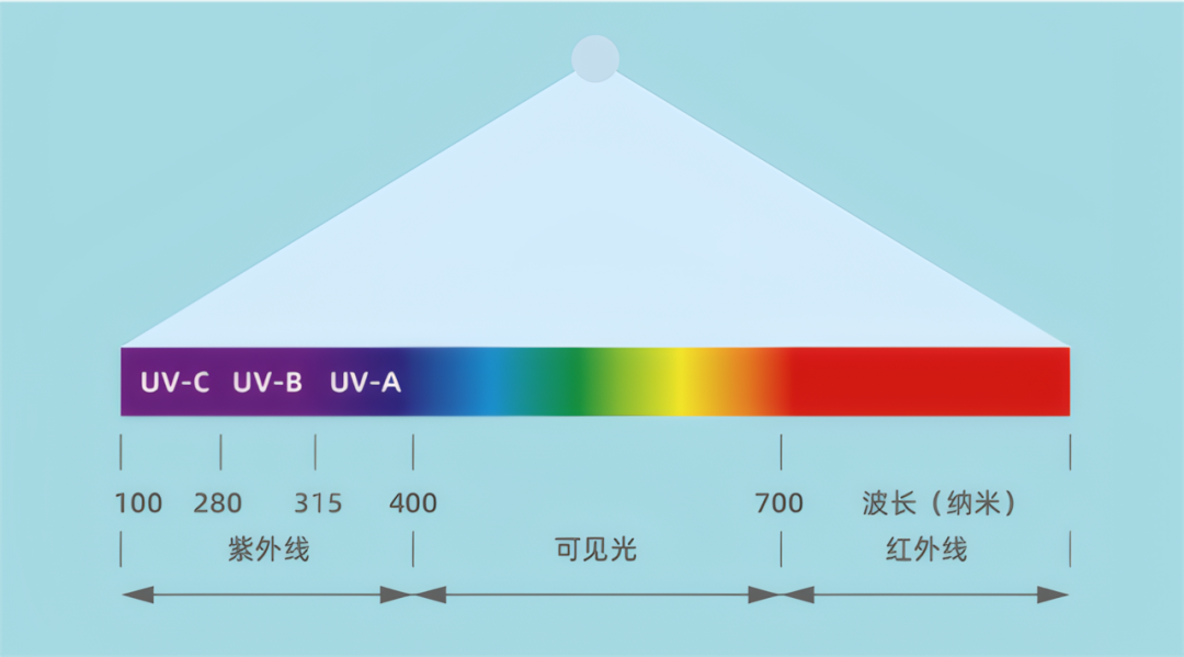 3d0e6376-6835-11f0-a486-92fbcf53809c.png