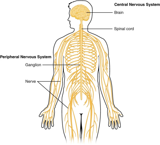 b34477be-6bb0-11f0-9080-92fbcf53809c.png