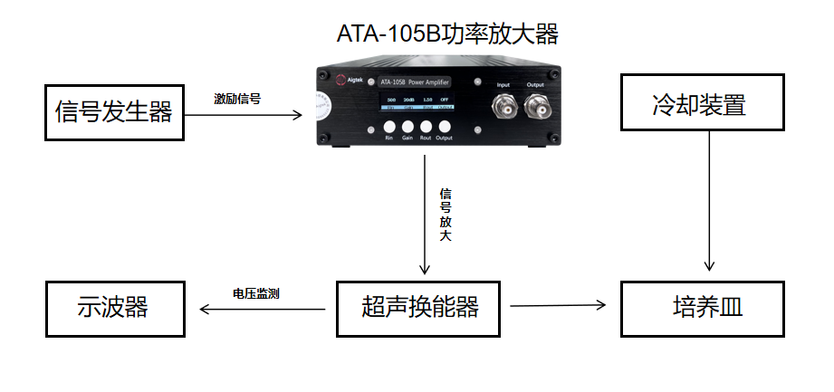 綠豆種子超聲波生物刺激：ATA-100功率放大器的應(yīng)用與效應(yīng)分析