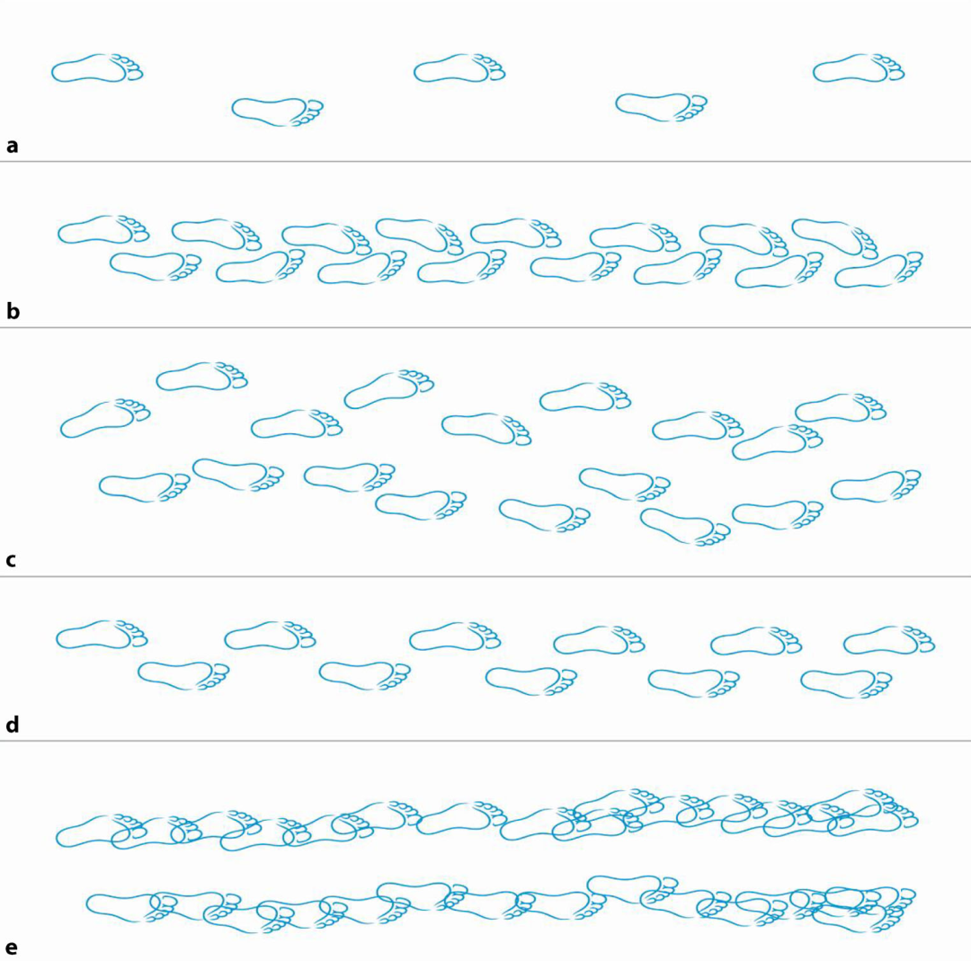 4f7a9004-712a-11f0-9080-92fbcf53809c.png