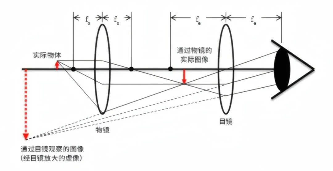 2cb0362a-71e1-11f0-9080-92fbcf53809c.jpg