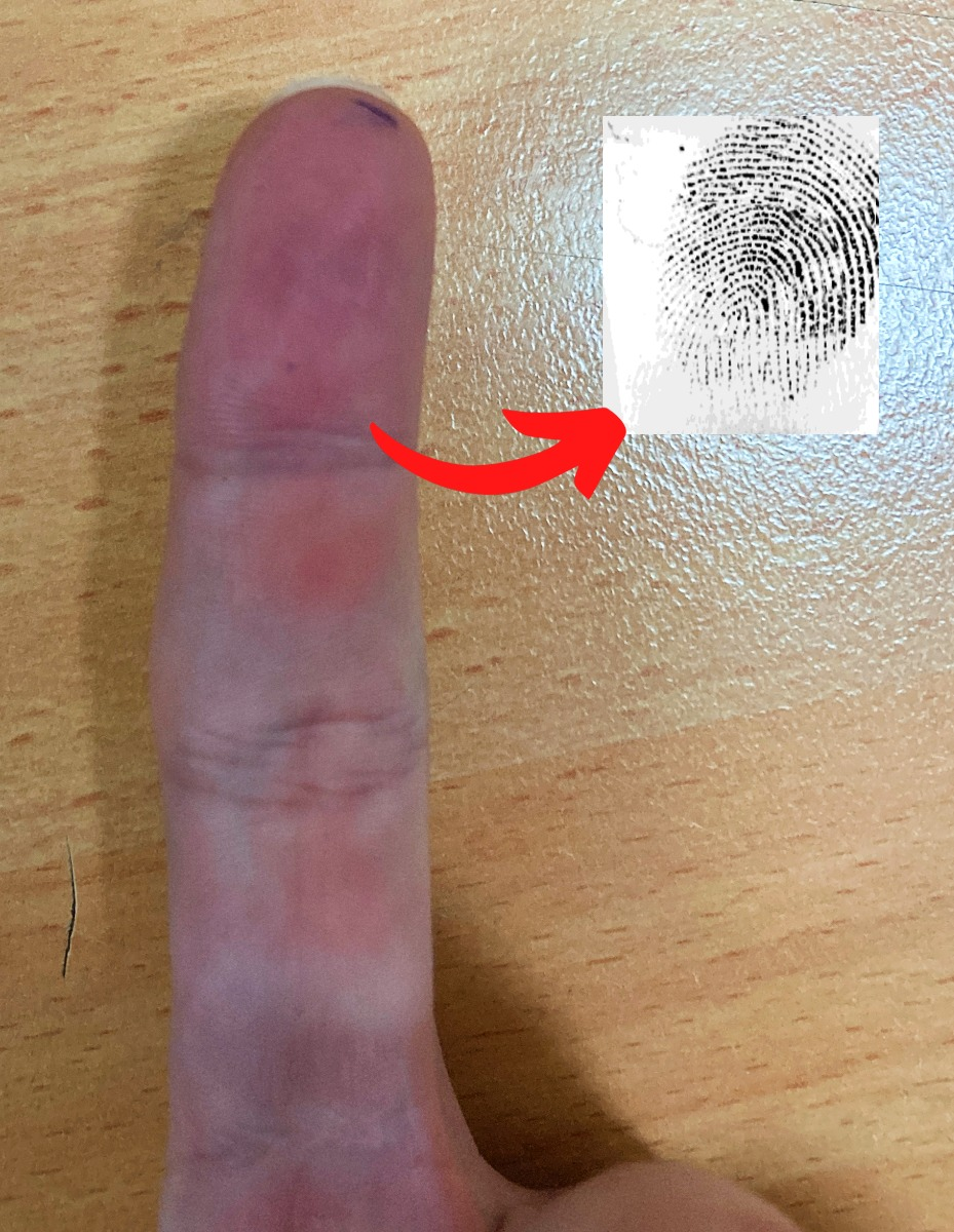 ae05ea52-74df-11f0-9080-92fbcf53809c.png
