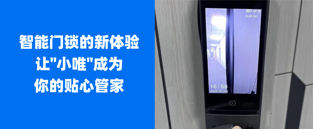 dc75fd6a-7e43-11f0-9080-92fbcf53809c.png