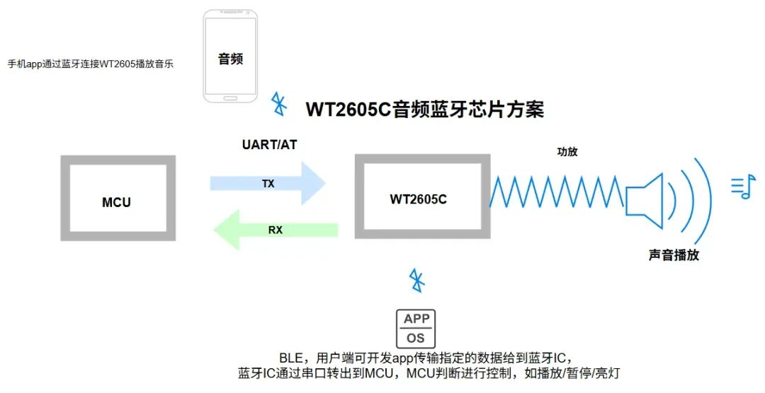 a81790ba-7f0b-11f0-9080-92fbcf53809c.jpg