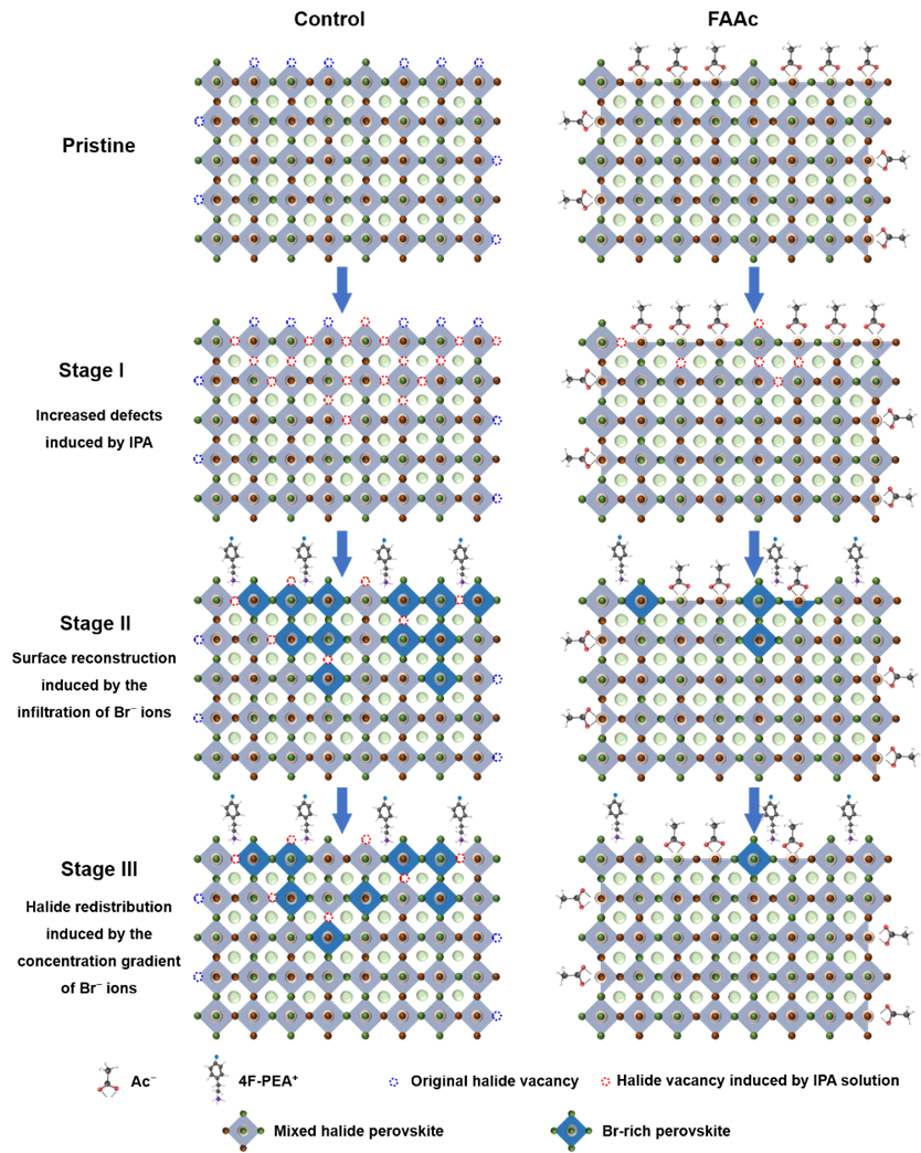 wKgZPGiw-8uAKX_eAAySUdO4FcE651.png