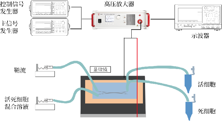 高壓放大器：微井式微流控芯片單細(xì)胞測序的精準(zhǔn)驅(qū)動力