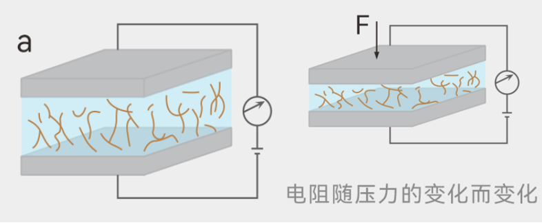 2b32e052-878c-11f0-9080-92fbcf53809c.png