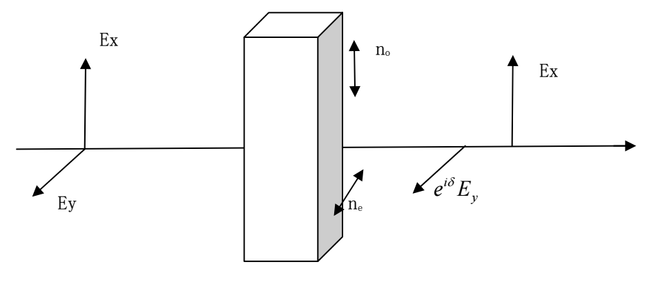 5d7110a8-88ad-11f0-8ce9-92fbcf53809c.png