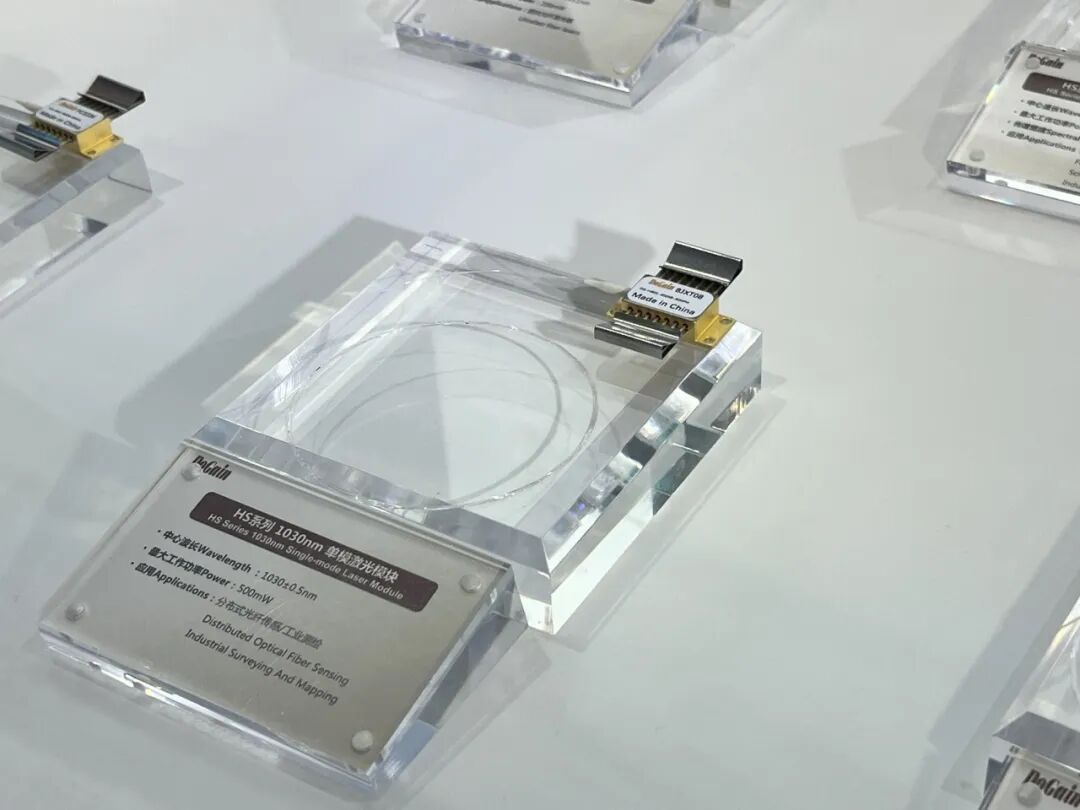ec373508-8e46-11f0-8ce9-92fbcf53809c.jpg