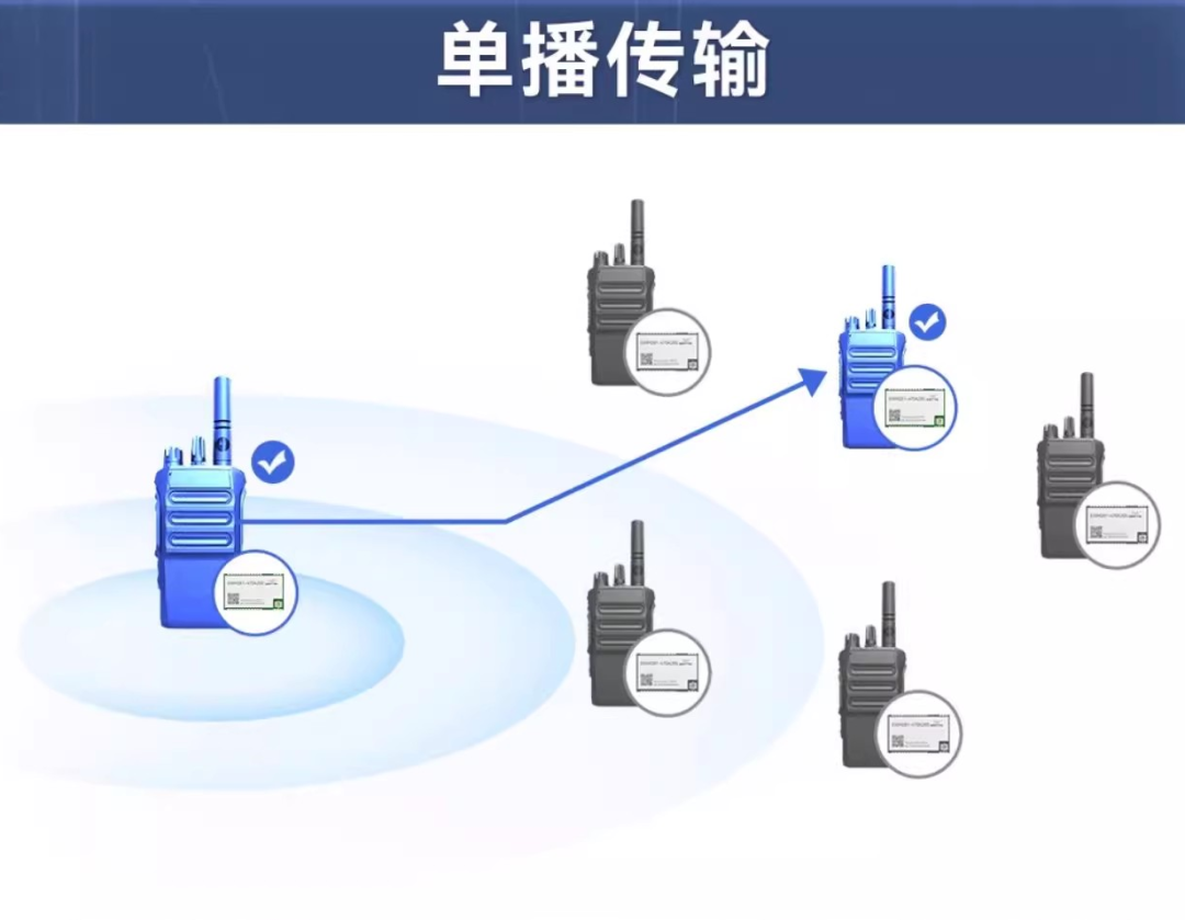 开发板