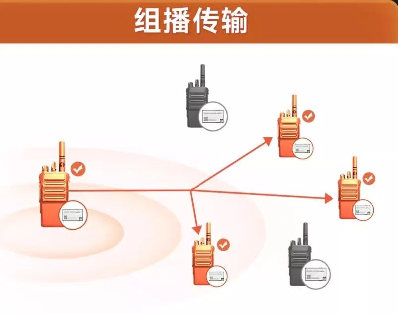 开发板