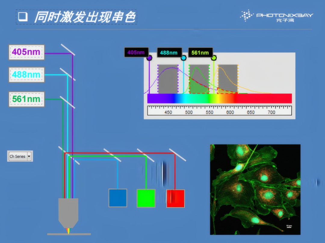 dbac4a46-99f6-11f0-8ce9-92fbcf53809c.png