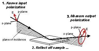 2a356386-9ac0-11f0-8ce9-92fbcf53809c.jpg