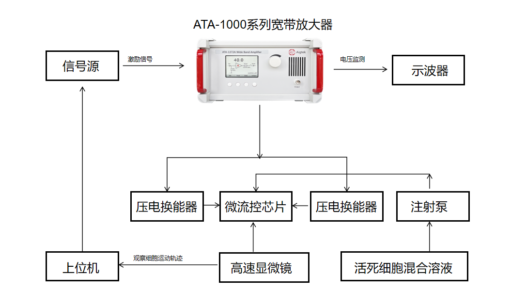 基于寬帶功率放大器的聲<b class='flag-5'>流</b>控<b class='flag-5'>細(xì)胞</b><b class='flag-5'>高效</b>分選創(chuàng)新方案