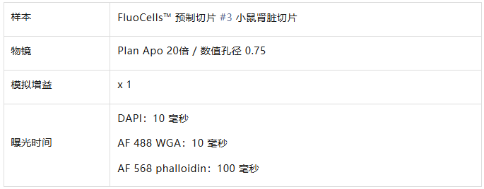 wKgZO2jZydGAKqvAAAAv4g_utLA456.png