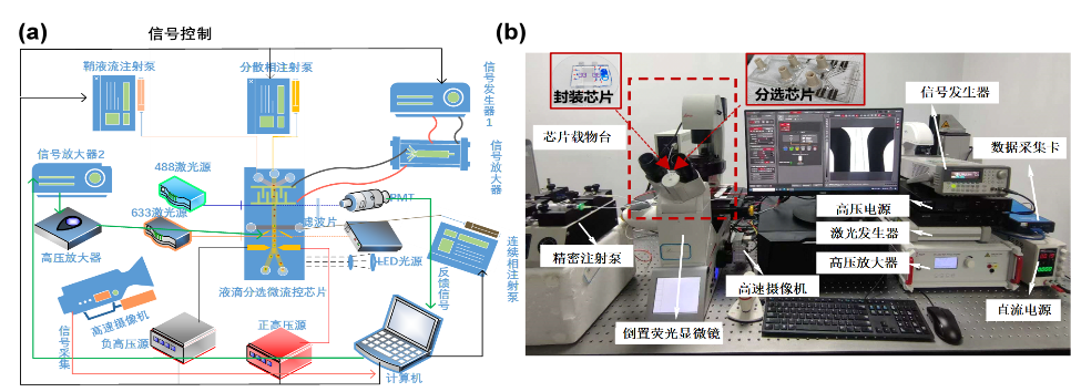 9ffdac2c-a5c4-11f0-8ce9-92fbcf53809c.png