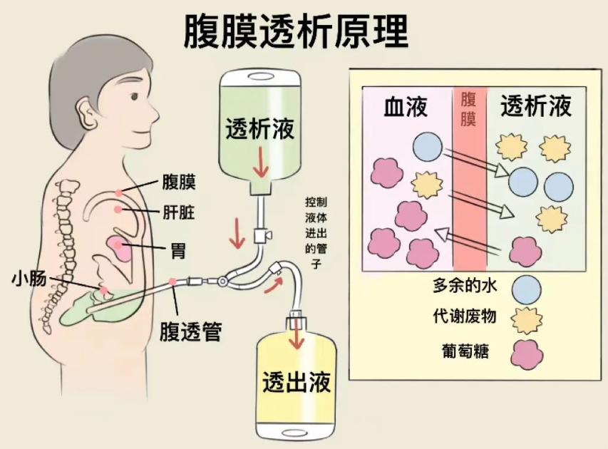 fa182ba0-a656-11f0-8ce9-92fbcf53809c.png
