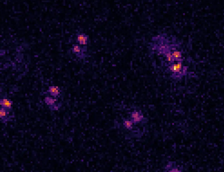 24a16626-ad4a-11f0-8ce9-92fbcf53809c.png
