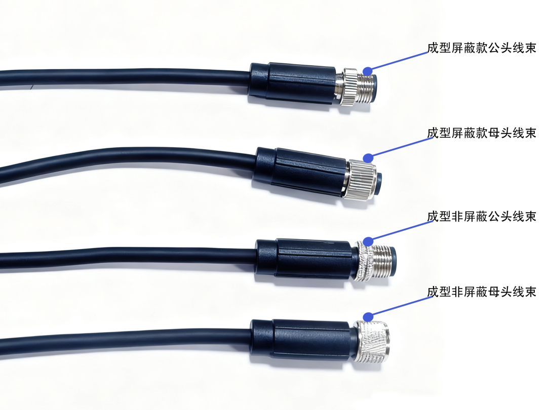 cd1687d6-b075-11f0-8ce9-92fbcf53809c.png
