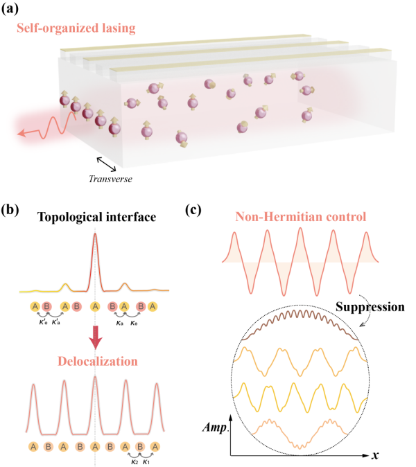 中科院半導體所自組織拓撲激光器研發(fā)取得新進展