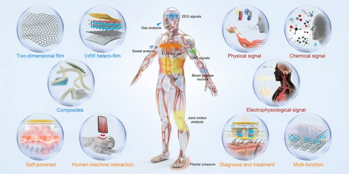 北京航空航天大學：基于二維材料的<b class='flag-5'>可穿戴</b><b class='flag-5'>生物</b>設(shè)備—從柔性<b class='flag-5'>傳感器</b>到智能集成<b class='flag-5'>系統(tǒng)</b>