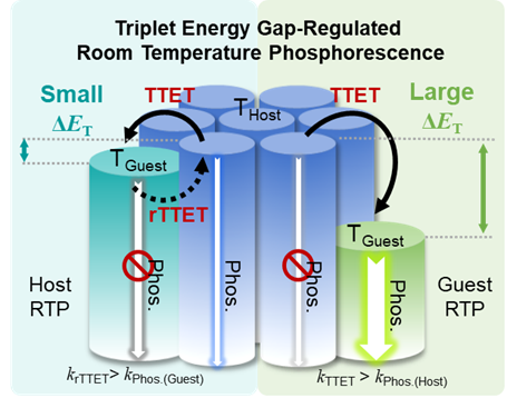 瞬態(tài)吸收光譜技術(shù)用于觀測主客體間<b class='flag-5'>高效</b>的<b class='flag-5'>三重態(tài)</b>-<b class='flag-5'>三重態(tài)</b>能量轉(zhuǎn)移(TTET)過程與熱激活反向TTET(rTTET)過程
