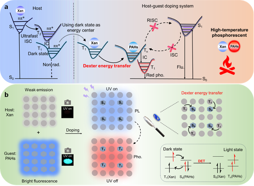<b class='flag-5'>瞬態(tài)</b><b class='flag-5'>吸收光譜</b><b class='flag-5'>技術(shù)</b><b class='flag-5'>用于</b>解釋<b class='flag-5'>高效</b>紅色/近紅外磷光材料的發(fā)光機(jī)制